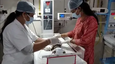 Newborn Interred Living in the Country Struggles for Survival